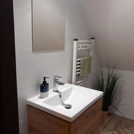 Boglarka Vendeghaz Tiszaloek Apartment *